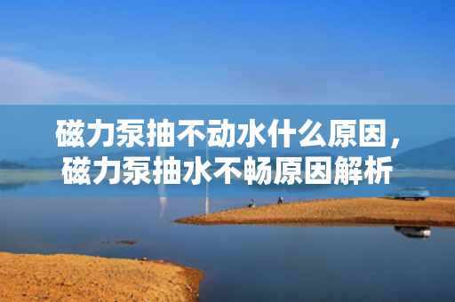 磁力泵抽不动水什么原因，磁力泵抽水不畅原因解析