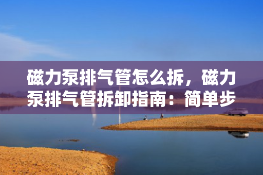 磁力泵排气管怎么拆，磁力泵排气管拆卸指南：简单步骤教你轻松完成