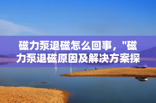 磁力泵退磁怎么回事，