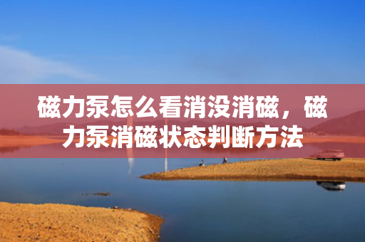 磁力泵怎么看消没消磁，磁力泵消磁状态判断方法