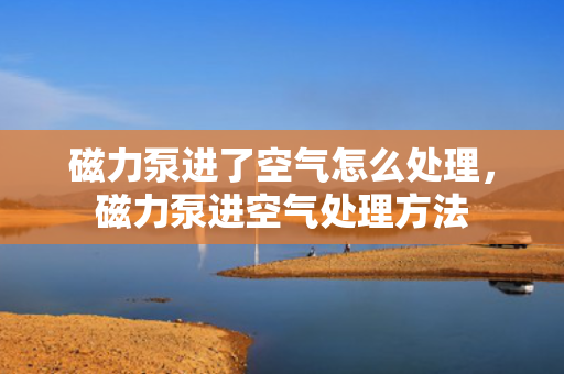 磁力泵进了空气怎么处理，磁力泵进空气处理方法