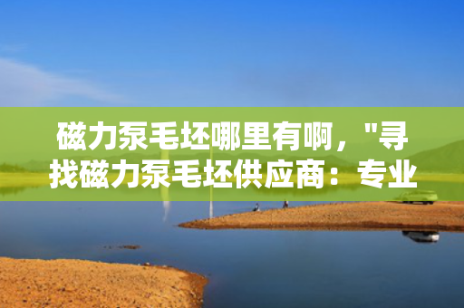 磁力泵毛坯哪里有啊，