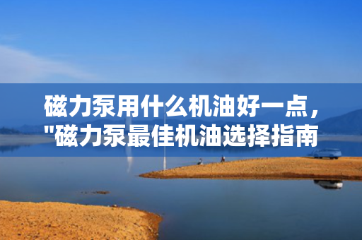磁力泵用什么机油好一点，