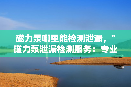 磁力泵哪里能检测泄漏，