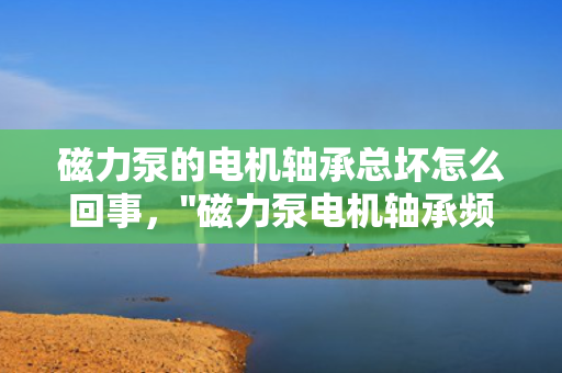 磁力泵的电机轴承总坏怎么回事，