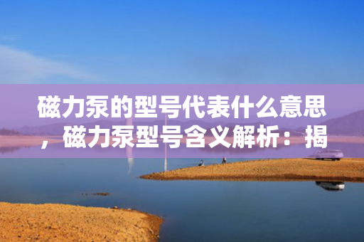 磁力泵的型号代表什么意思，磁力泵型号含义解析：揭秘磁力泵型号背后的信息