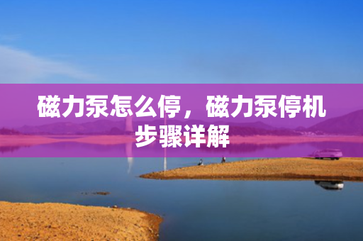 磁力泵怎么停，磁力泵停机步骤详解