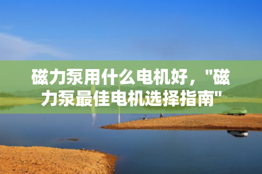 磁力泵用什么电机好，