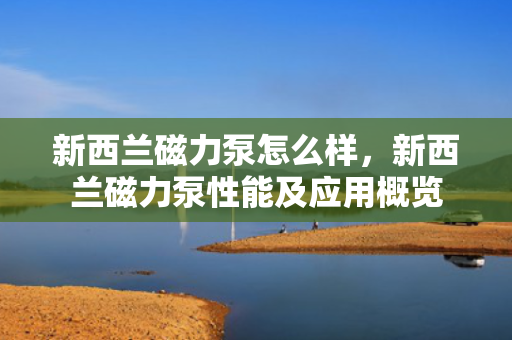 新西兰磁力泵怎么样，新西兰磁力泵性能及应用概览