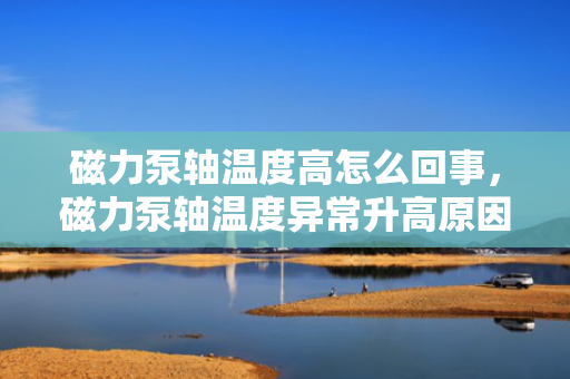 磁力泵轴温度高怎么回事，磁力泵轴温度异常升高原因及解决方案探讨