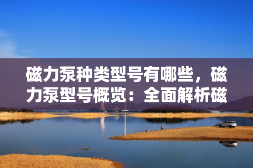 磁力泵种类型号有哪些，磁力泵型号概览：全面解析磁力泵的种类与型号