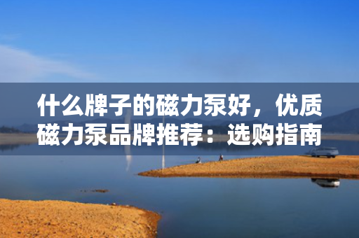 什么牌子的磁力泵好，优质磁力泵品牌推荐：选购指南及市场热门选择