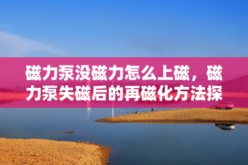 磁力泵没磁力怎么上磁，磁力泵失磁后的再磁化方法探讨