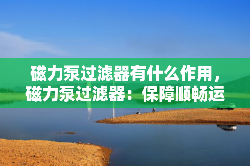磁力泵过滤器有什么作用，磁力泵过滤器：保障顺畅运行与防止杂质损害的关键