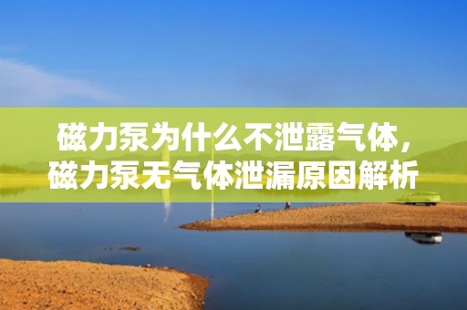 磁力泵为什么不泄露气体，磁力泵无气体泄漏原因解析