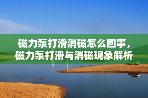 磁力泵打滑消磁怎么回事，磁力泵打滑与消磁现象解析