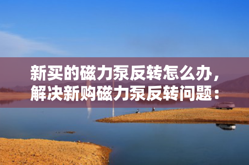 新买的磁力泵反转怎么办，解决新购磁力泵反转问题：一步到位的操作指南