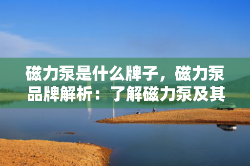 磁力泵是什么牌子，磁力泵品牌解析：了解磁力泵及其市场主流品牌