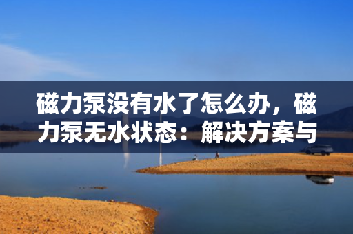 磁力泵没有水了怎么办，磁力泵无水状态：解决方案与操作指南