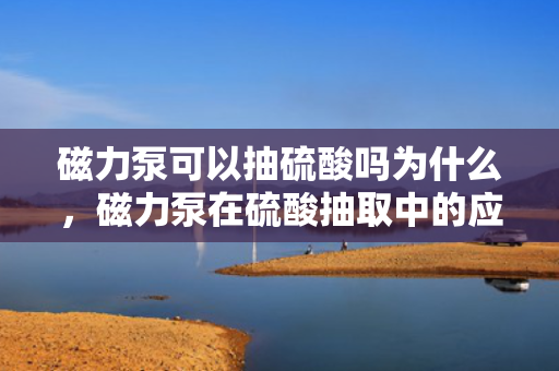 磁力泵可以抽硫酸吗为什么，磁力泵在硫酸抽取中的应用及其原因解析