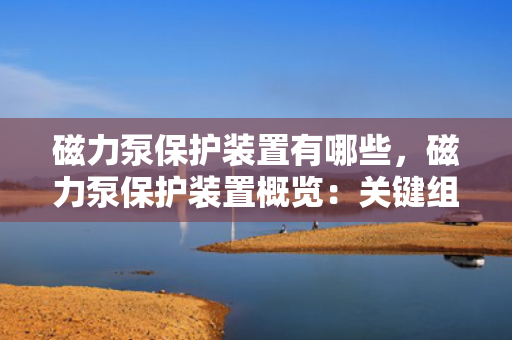 磁力泵保护装置有哪些，磁力泵保护装置概览：关键组件与功能解析