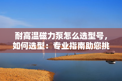 耐高温磁力泵怎么选型号，如何选型：专业指南助您挑选耐高温磁力泵