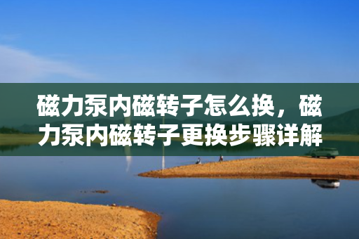 磁力泵内磁转子怎么换，磁力泵内磁转子更换步骤详解