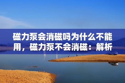 磁力泵会消磁吗为什么不能用，磁力泵不会消磁：解析其工作原理及适用限制