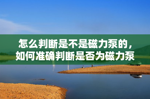怎么判断是不是磁力泵的，如何准确判断是否为磁力泵