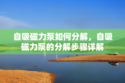 自吸磁力泵如何分解，自吸磁力泵的分解步骤详解
