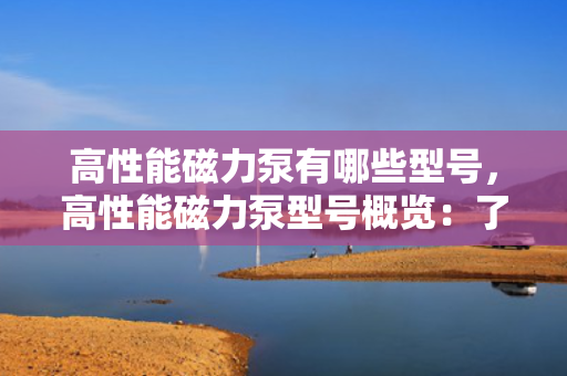 高性能磁力泵有哪些型号，高性能磁力泵型号概览：了解不同型号的特点与应用