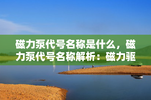 磁力泵代号名称是什么，磁力泵代号名称解析：磁力驱动泵的标识与命名规则