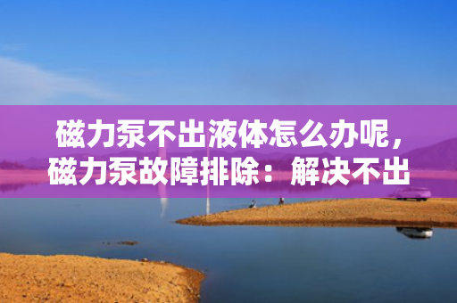 磁力泵不出液体怎么办呢，磁力泵故障排除：解决不出液体问题的实用指南