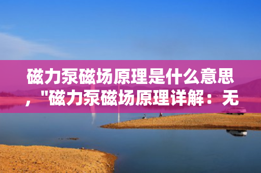 磁力泵磁场原理是什么意思，