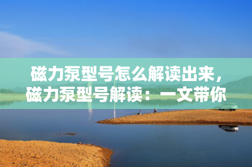 磁力泵型号怎么解读出来，磁力泵型号解读：一文带你了解磁力泵型号的含义与识别方法