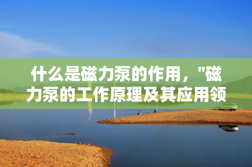 什么是磁力泵的作用，