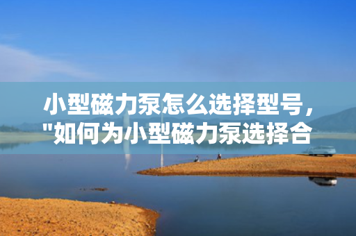 小型磁力泵怎么选择型号，