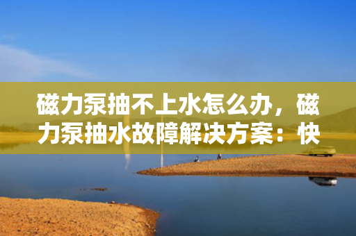 磁力泵抽不上水怎么办，磁力泵抽水故障解决方案：快速排查与修复指南
