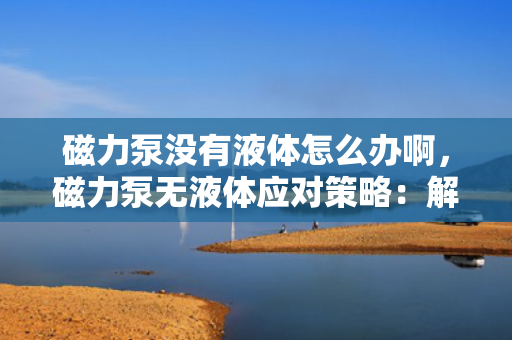 磁力泵没有液体怎么办啊，磁力泵无液体应对策略：解决方法与操作指南