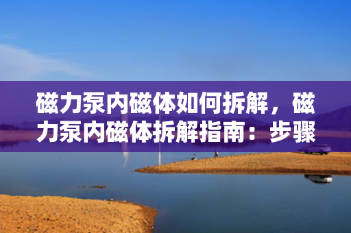 磁力泵内磁体如何拆解，磁力泵内磁体拆解指南：步骤与注意事项