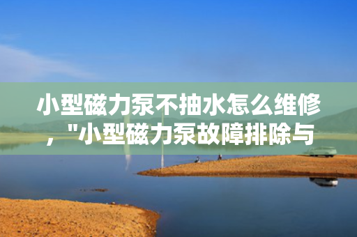 小型磁力泵不抽水怎么维修，