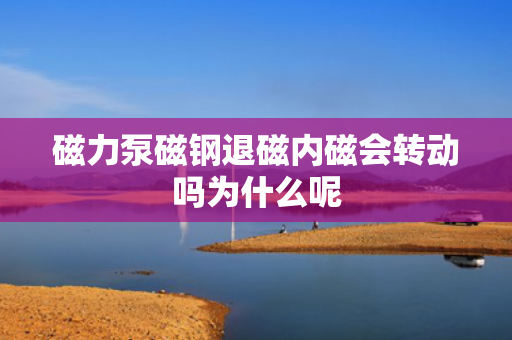 磁力泵磁钢退磁内磁会转动吗为什么呢