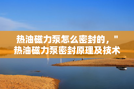 热油磁力泵怎么密封的，