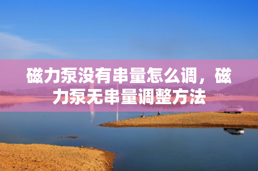 磁力泵没有串量怎么调，磁力泵无串量调整方法