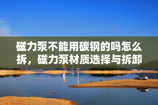 磁力泵不能用碳钢的吗怎么拆，磁力泵材质选择与拆卸指南：碳钢适用性及操作要点
