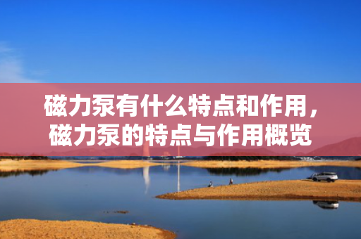 磁力泵有什么特点和作用，磁力泵的特点与作用概览