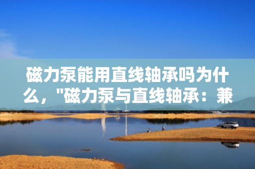 磁力泵能用直线轴承吗为什么，