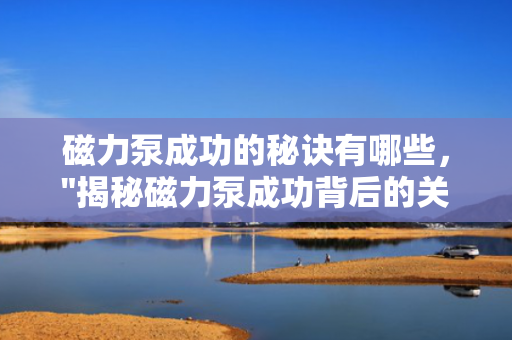 磁力泵成功的秘诀有哪些，
