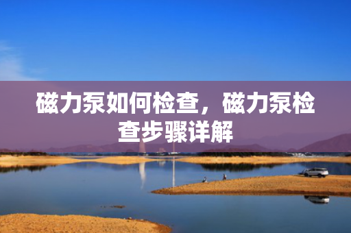 磁力泵如何检查，磁力泵检查步骤详解
