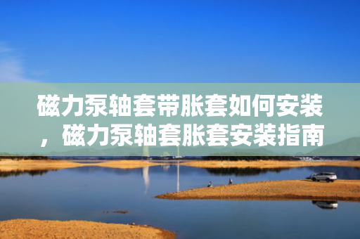 磁力泵轴套带胀套如何安装，磁力泵轴套胀套安装指南：步骤详解与注意事项